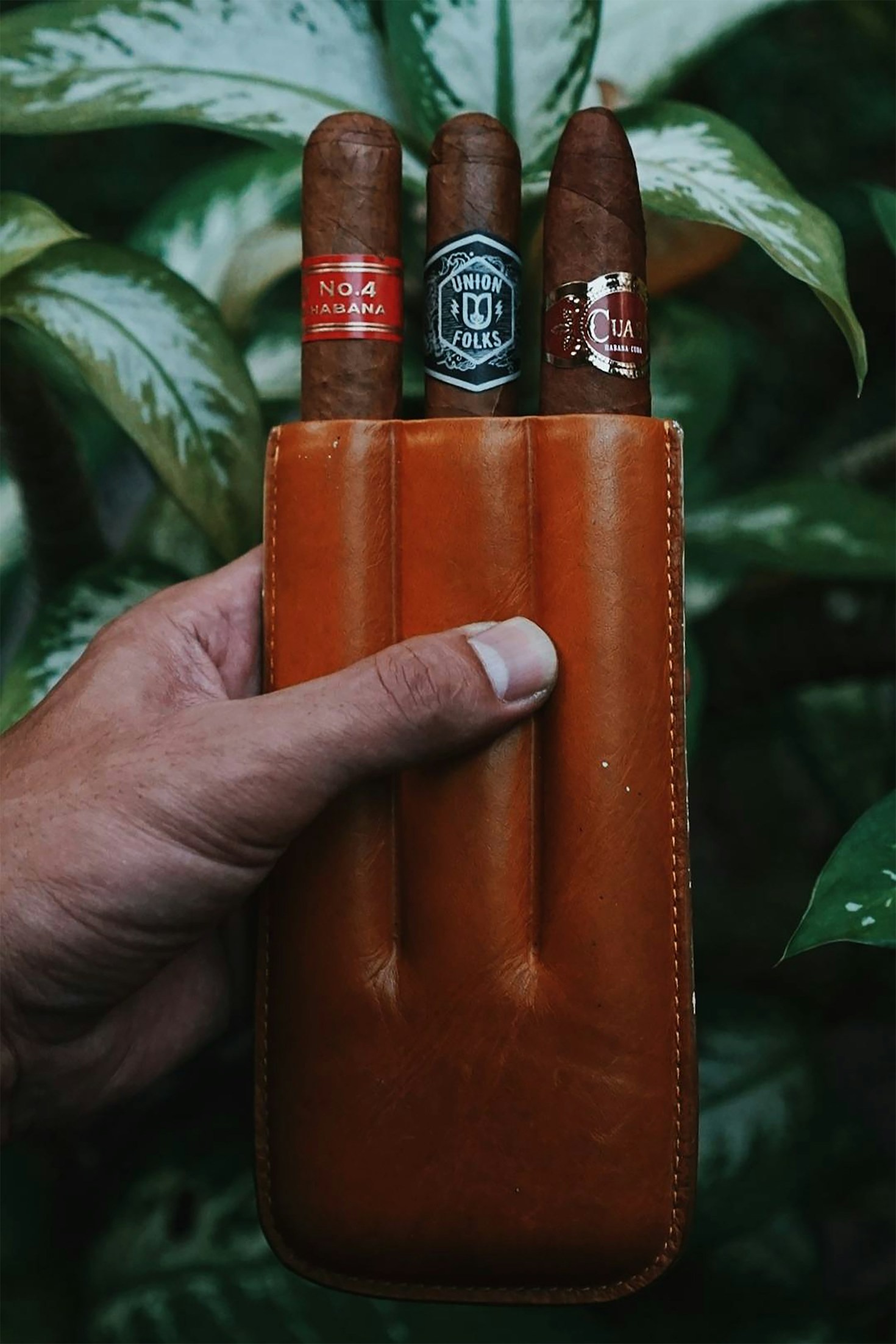 Exploring the Rich Cigar Traditions of the UK and China